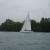 Navigation sous GV et foc solent autovireur